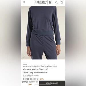 Icebreaker Merino Blend 200 Crush Long Sleeve Hoodie